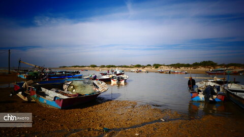لنج‌ها نماد کهن دریانوردی جنوب ایران‌اند؛ چوبی، زیبا و استوار، که قرن‌هاست امواج خلیج فارس را می‌شکافند و قصه‌ی تجارت، تلاش و زندگی مردمان دریا را روایت می‌کنند