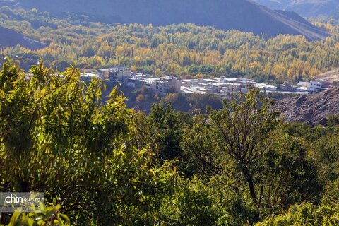 پاییز رنگارنگ در حاشیه زاینده‌رود