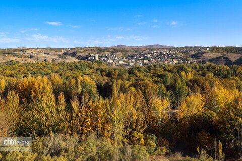 پاییز رنگارنگ در حاشیه زاینده‌رود