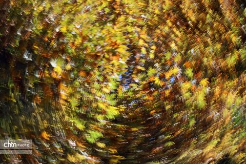 پاییز رنگارنگ در حاشیه زاینده‌رود