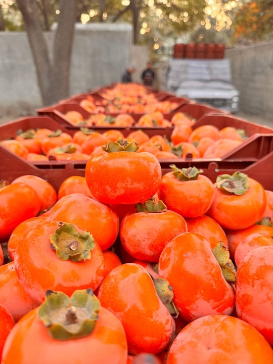 میراث ناملموس، سرمایه ماندگار فرهنگی پایتخت