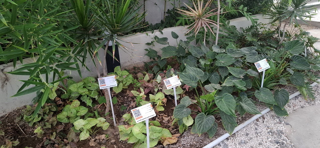 نخستین مجتمع گردشگری کشاورزی شهر قزوین به بهرهبرداری رسید