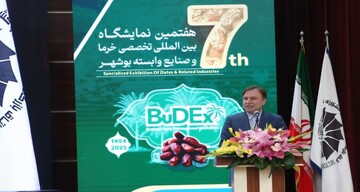 ضرورت تهیه برنامه راهبردی برای توسعه صادرات خرما