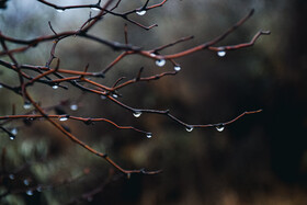 سنندج در اولین باران پاییزی