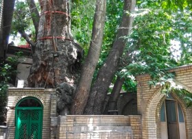 روستای گردشگری برغان