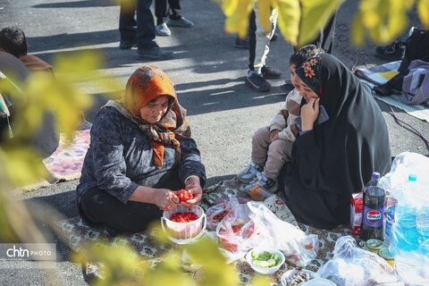 جشنواره املت سیب‌زمینی و چای آتیشی در بجنورد