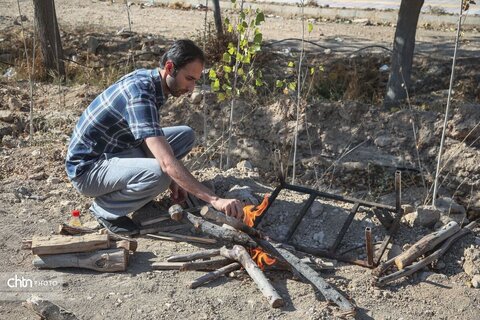 جشنواره املت سیب‌زمینی و چای آتیشی در بجنورد