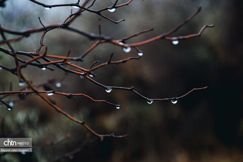 سنندج در اولین باران پاییزی