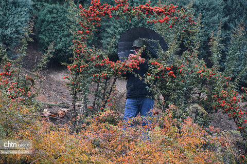 سنندج در اولین باران پاییزی