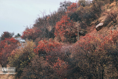 سنندج در اولین باران پاییزی