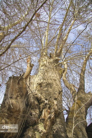 روستای گردشگری برغان
