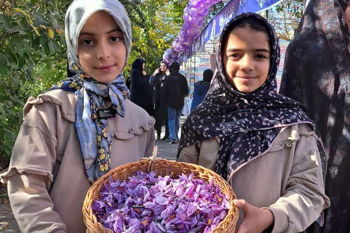 برگزاری دومین جشنواره زعفران در روستای علوی کاشان