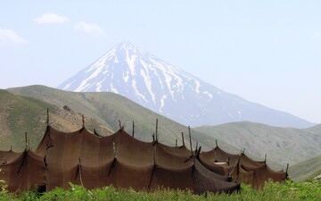 مطالعات میدانی «مردم‌شناسی گیاهان دارویی و درمانگری ایل سنگسری دیوآسیاب لار» آغاز شد