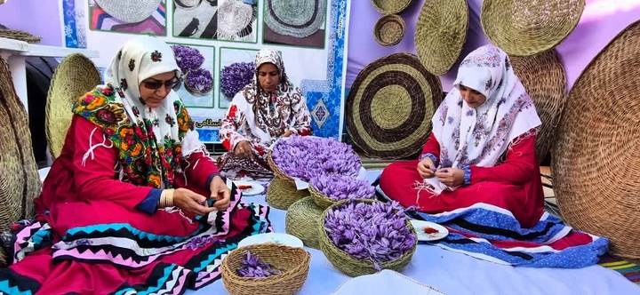 قاین: شهر جهانی زعفران میزبان جشنواره زعفران
