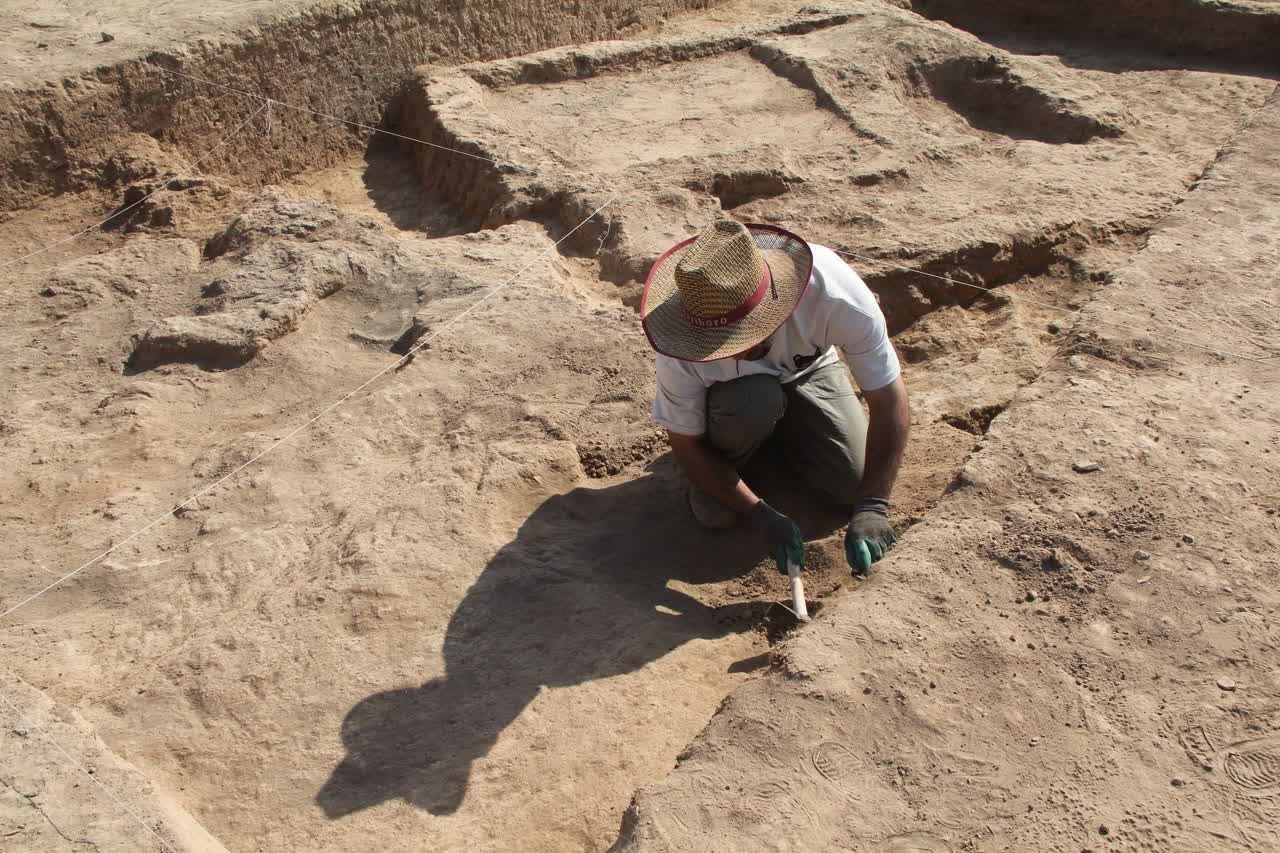 آغاز فصل تازه کاوش‌های باستان‌شناسی در تپه ابراهیم‌آباد آبیک/ کشف ۸ اسکلت و شواهدکم‌نظیر از دوران نوسنگی