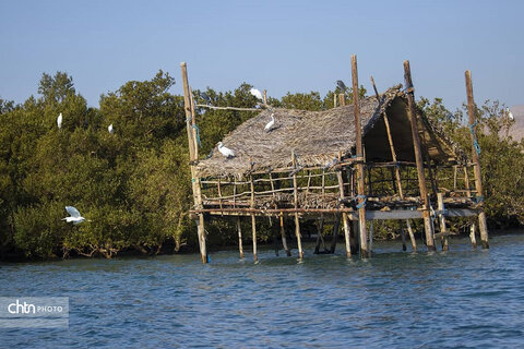 خور خوران بندرخمیر