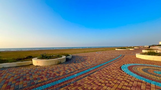  جشنواره بزرگ برنج و ماهی در فریدونکنار برگزار شد