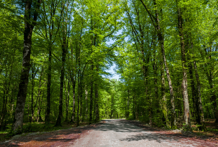 تنوع اقلیمی استثنایی گلستان هنوز به سهم واقعی در گردشگری نرسیده است