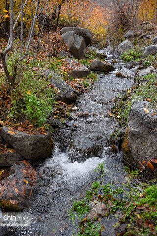 جلوه‌گری رنگ‌ها در دامنه‌های سنندج