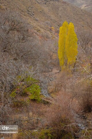 جلوه‌گری رنگ‌ها در دامنه‌های سنندج