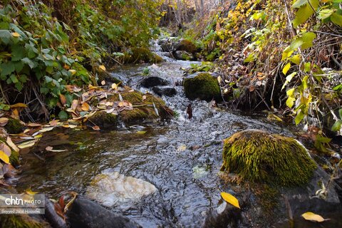 جلوه‌گری رنگ‌ها در دامنه‌های سنندج