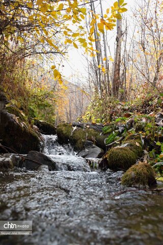 جلوه‌گری رنگ‌ها در دامنه‌های سنندج