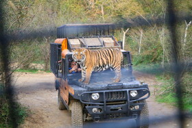 تور آشنا سازی فعالان گردشگری خارجی در مازندران