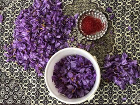 آرامش در میان گل‌های زعفران