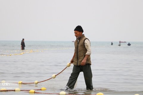 تور آشنا سازی فعالان گردشگری خارجی در مازندران