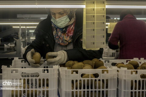 روایت معیشت و شرافت زنانه