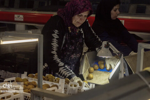 روایت معیشت و شرافت زنانه