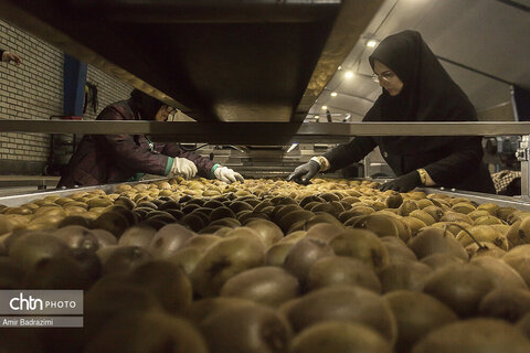 روایت معیشت و شرافت زنانه