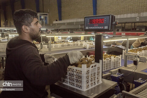 روایت معیشت و شرافت زنانه