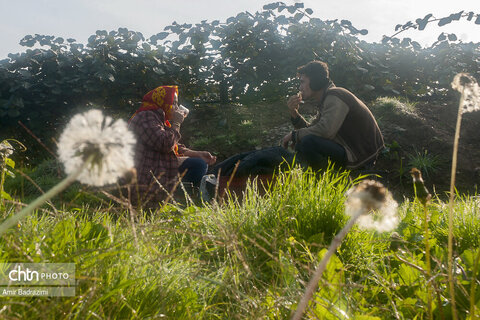 روایت معیشت و شرافت زنانه