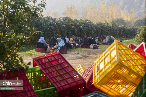 روایت معیشت و شرافت زنانه