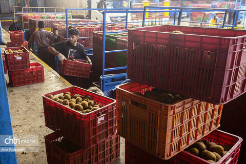 روایت معیشت و شرافت زنانه