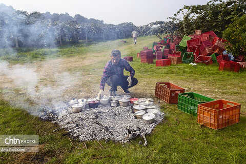 روایت معیشت و شرافت زنانه