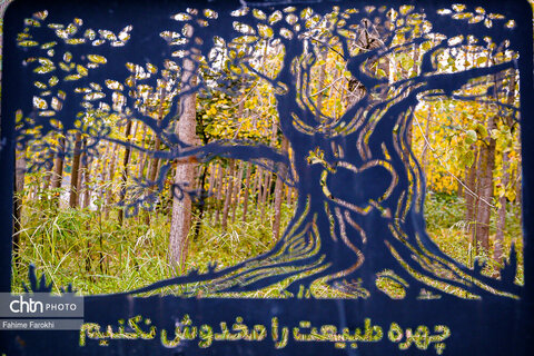 طبیعت پائیزی جنگل دالخانی و نمک آبرود