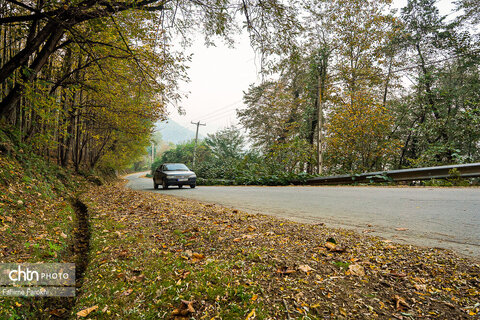 طبیعت پائیزی جنگل دالخانی و نمک آبرود