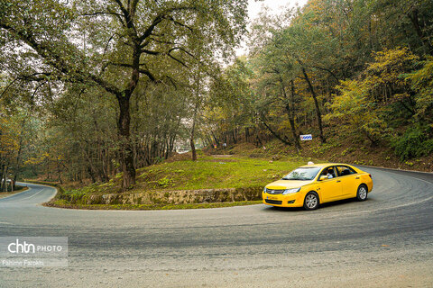 طبیعت پائیزی جنگل دالخانی و نمک آبرود