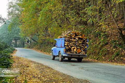 طبیعت پائیزی جنگل دالخانی و نمک آبرود