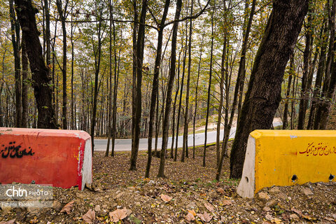 طبیعت پائیزی جنگل دالخانی و نمک آبرود