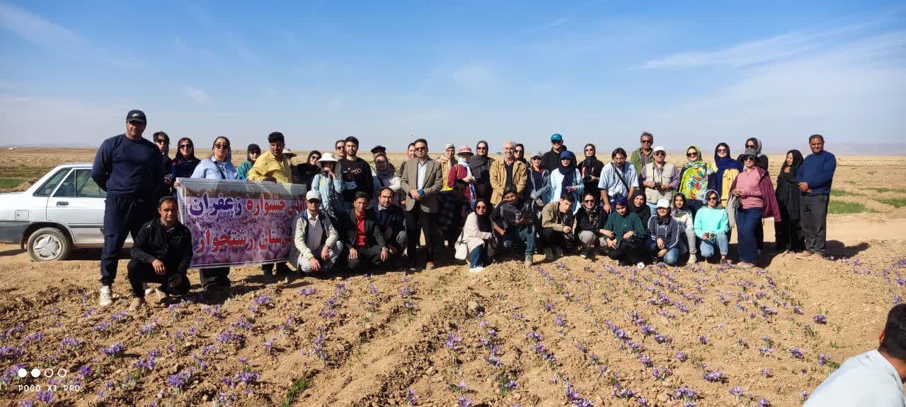 برگزاری نخستین جشنواره زعفران در شهرستان رشتخوار