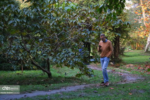 بازدید فعالان گردشگری روسیه از باغ گیاه‌شناسی نوشهر