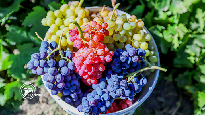 استان مرکزی هزاوه