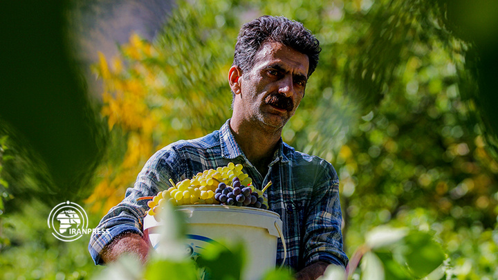 استان مرکزی هزاوه