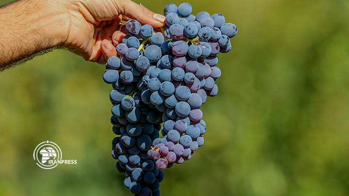 استان مرکزی هزاوه