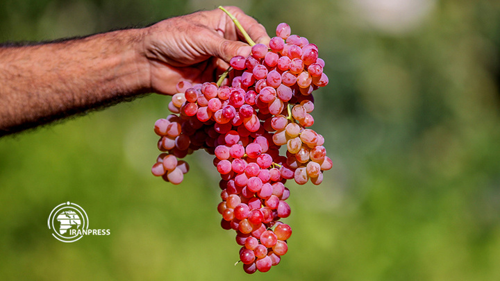 استان مرکزی هزاوه