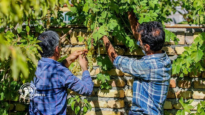 استان مرکزی هزاوه