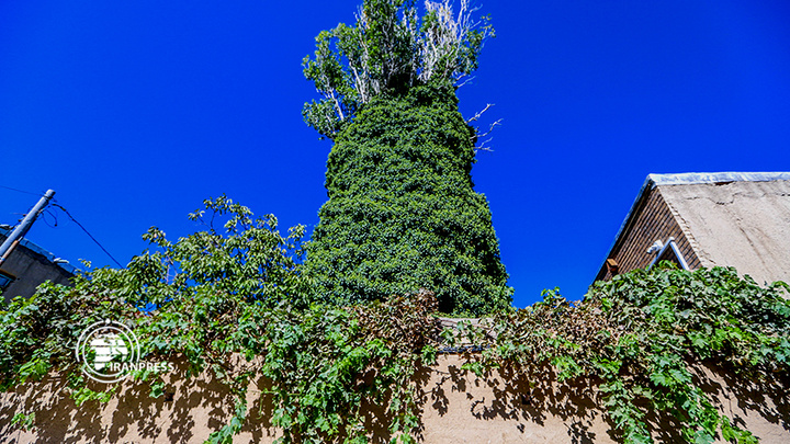 استان مرکزی هزاوه